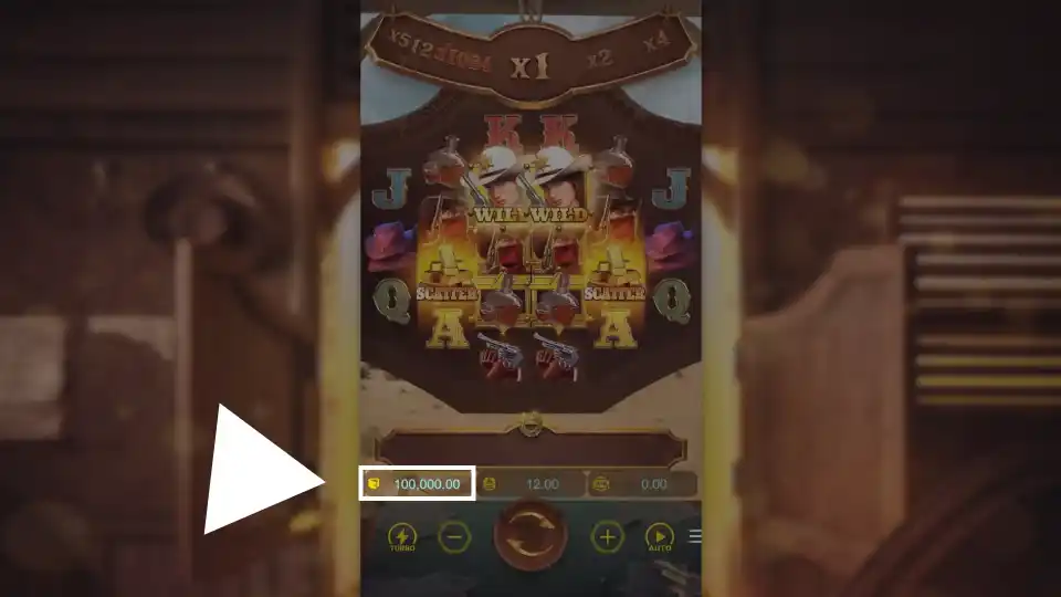 Wild Bounty Showdown Demo Coins